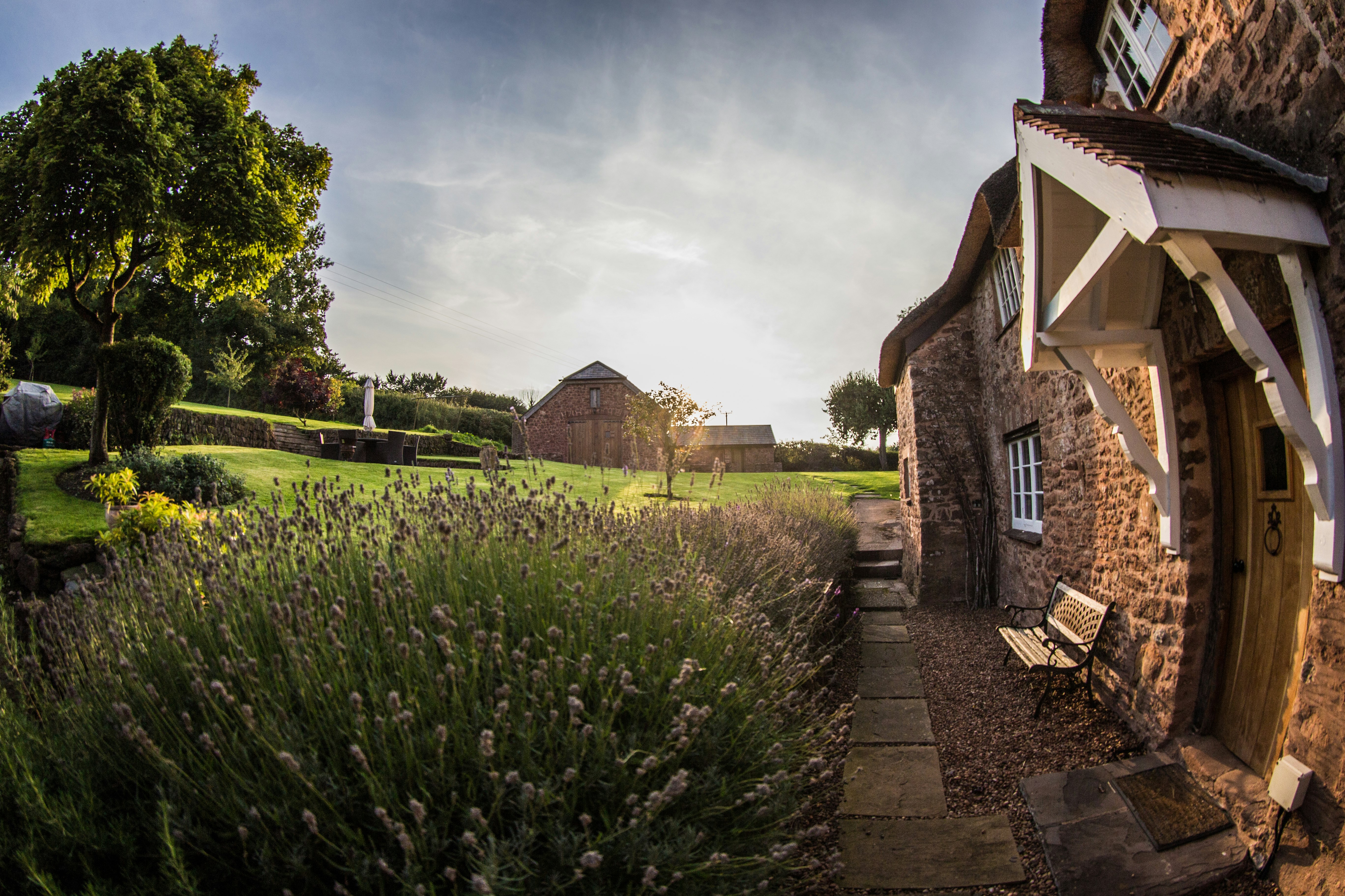 fish-eye lens of green plant in front of house